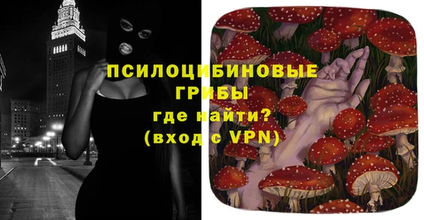 PSILOCYBIN Алексин