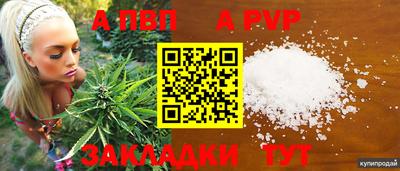 стаф Славгород