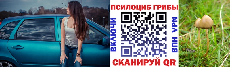 Галлюциногенные грибы мухоморы Полысаево