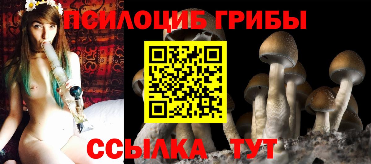 Галлюциногенные грибы Psilocybe  Вход с VPN  где купить наркоту  Галлюциногенные грибы прущие грибы  Полысаево 