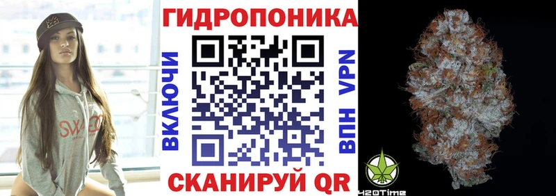 что такое наркотик Полысаево Канабис OG Kush